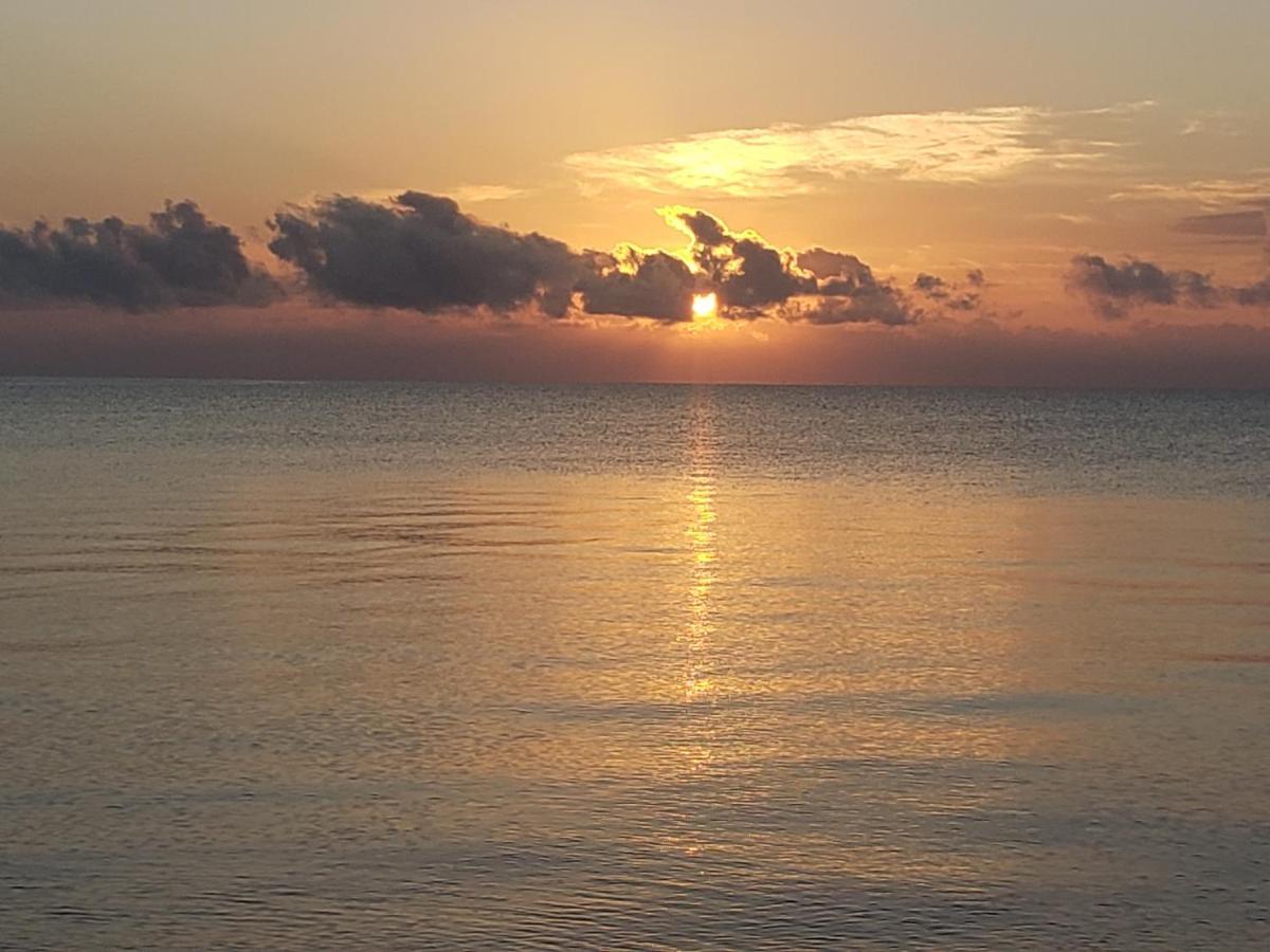 Pal'S On The Beach - Dangriga, Belize エクステリア 写真