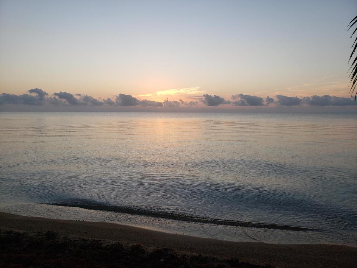 Pal'S On The Beach - Dangriga, Belize エクステリア 写真