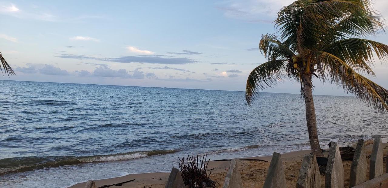 Pal'S On The Beach - Dangriga, Belize エクステリア 写真
