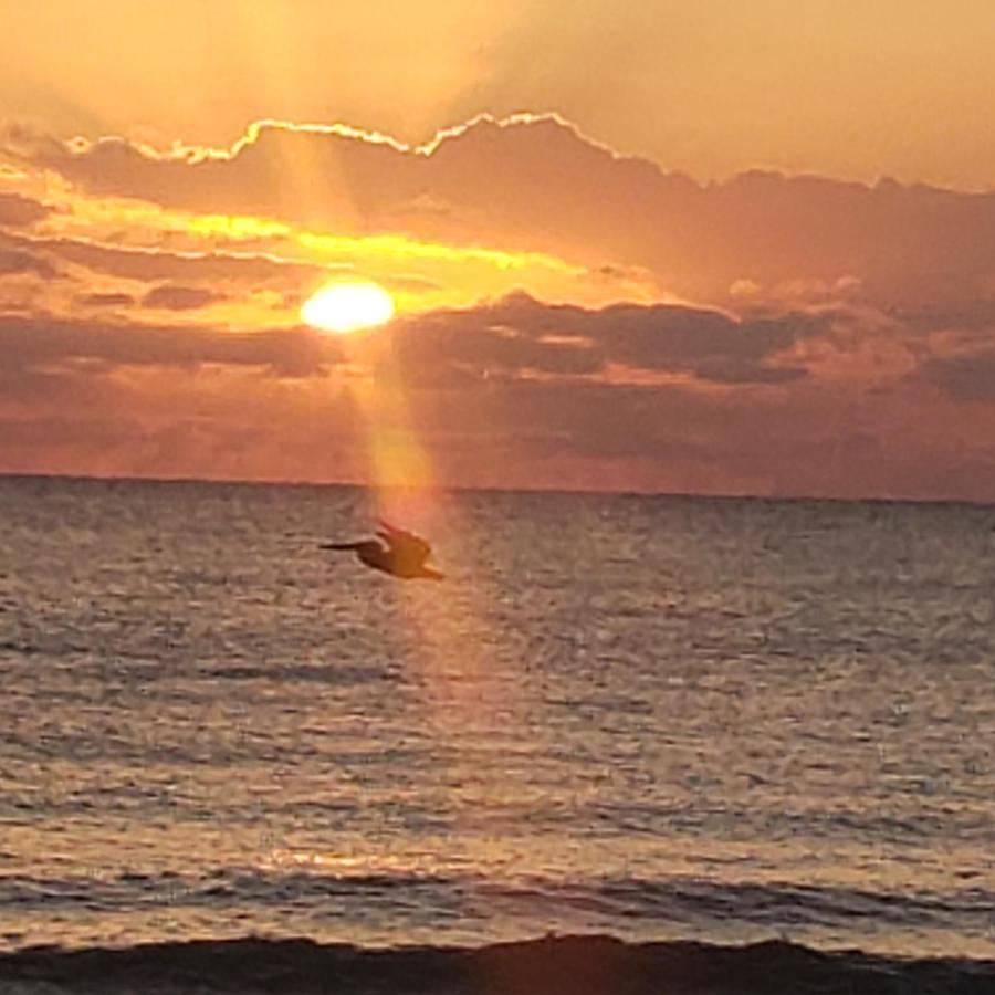 Pal'S On The Beach - Dangriga, Belize エクステリア 写真