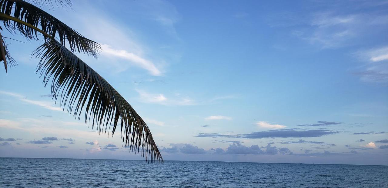 Pal'S On The Beach - Dangriga, Belize エクステリア 写真