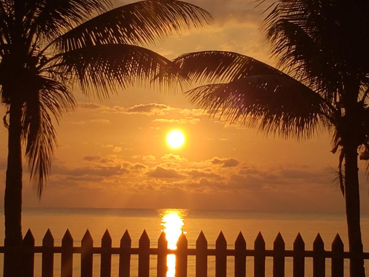 Pal'S On The Beach - Dangriga, Belize エクステリア 写真