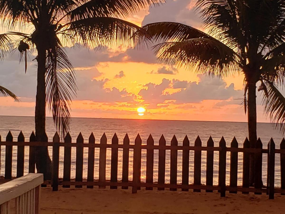 Pal'S On The Beach - Dangriga, Belize エクステリア 写真