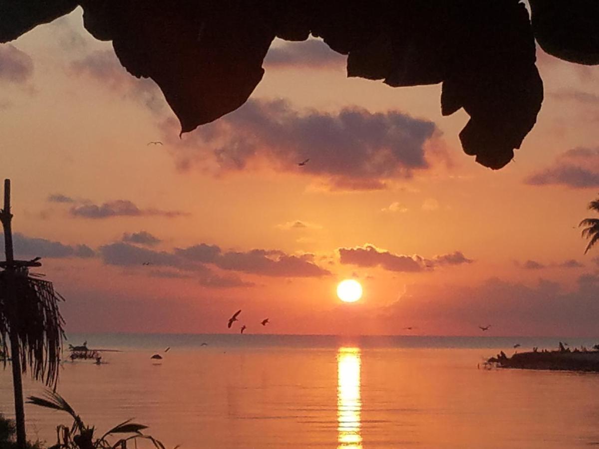 Pal'S On The Beach - Dangriga, Belize エクステリア 写真