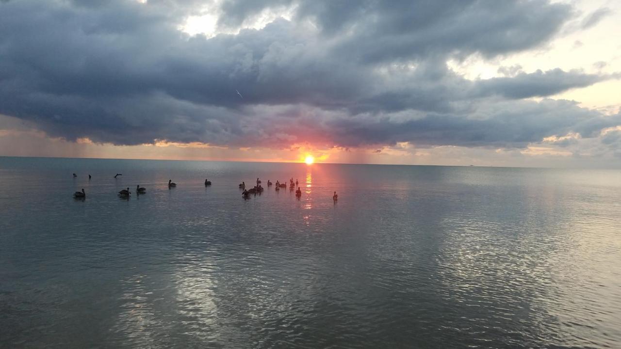 Pal'S On The Beach - Dangriga, Belize エクステリア 写真