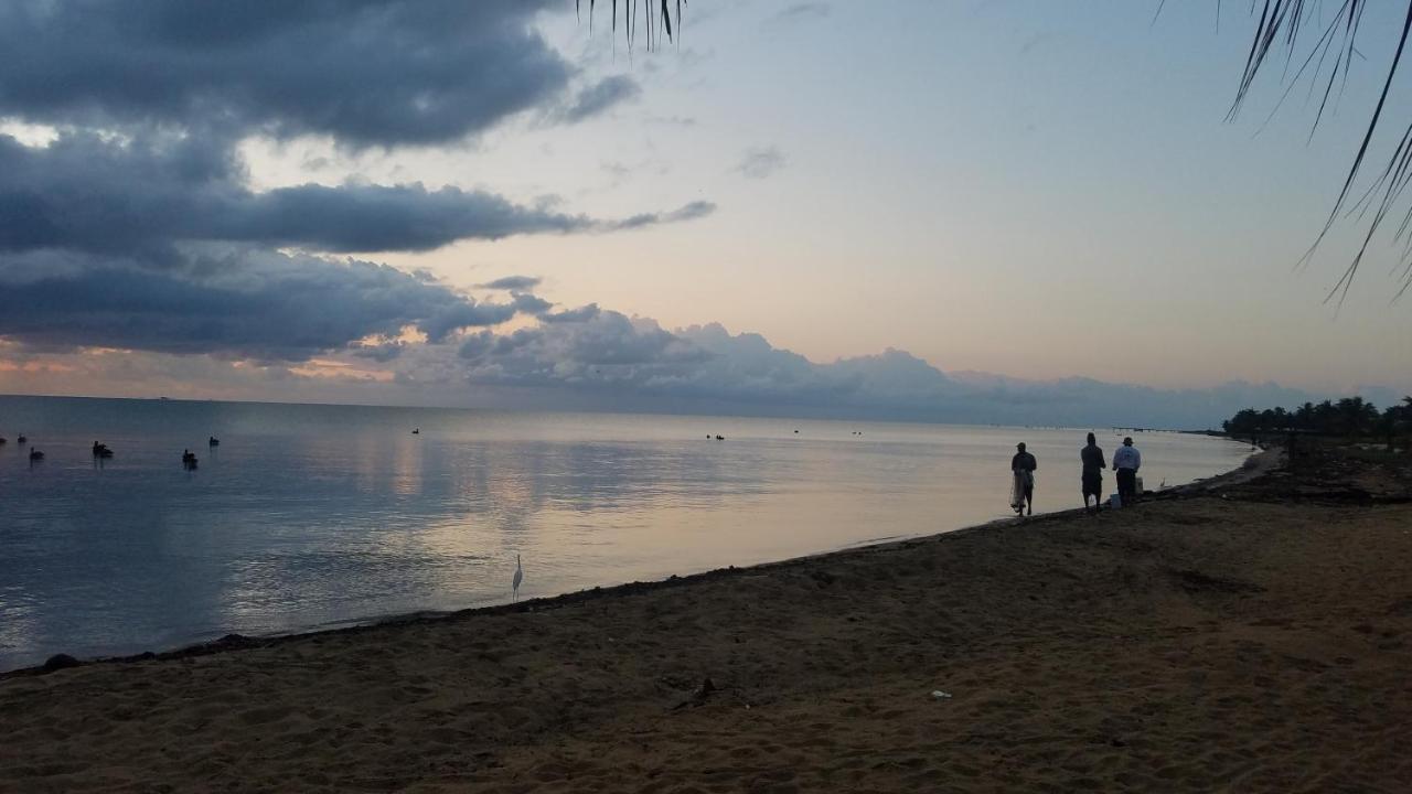Pal'S On The Beach - Dangriga, Belize エクステリア 写真