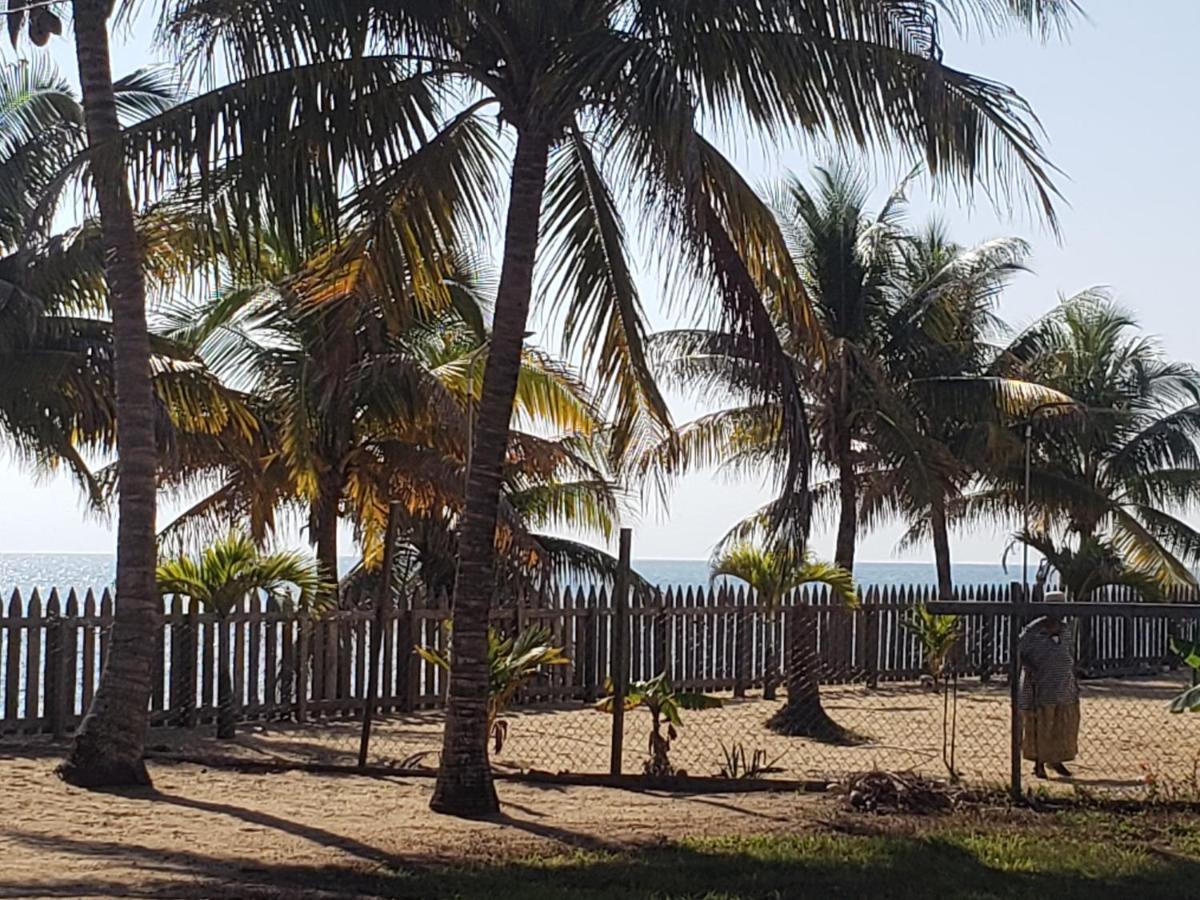 Pal'S On The Beach - Dangriga, Belize エクステリア 写真